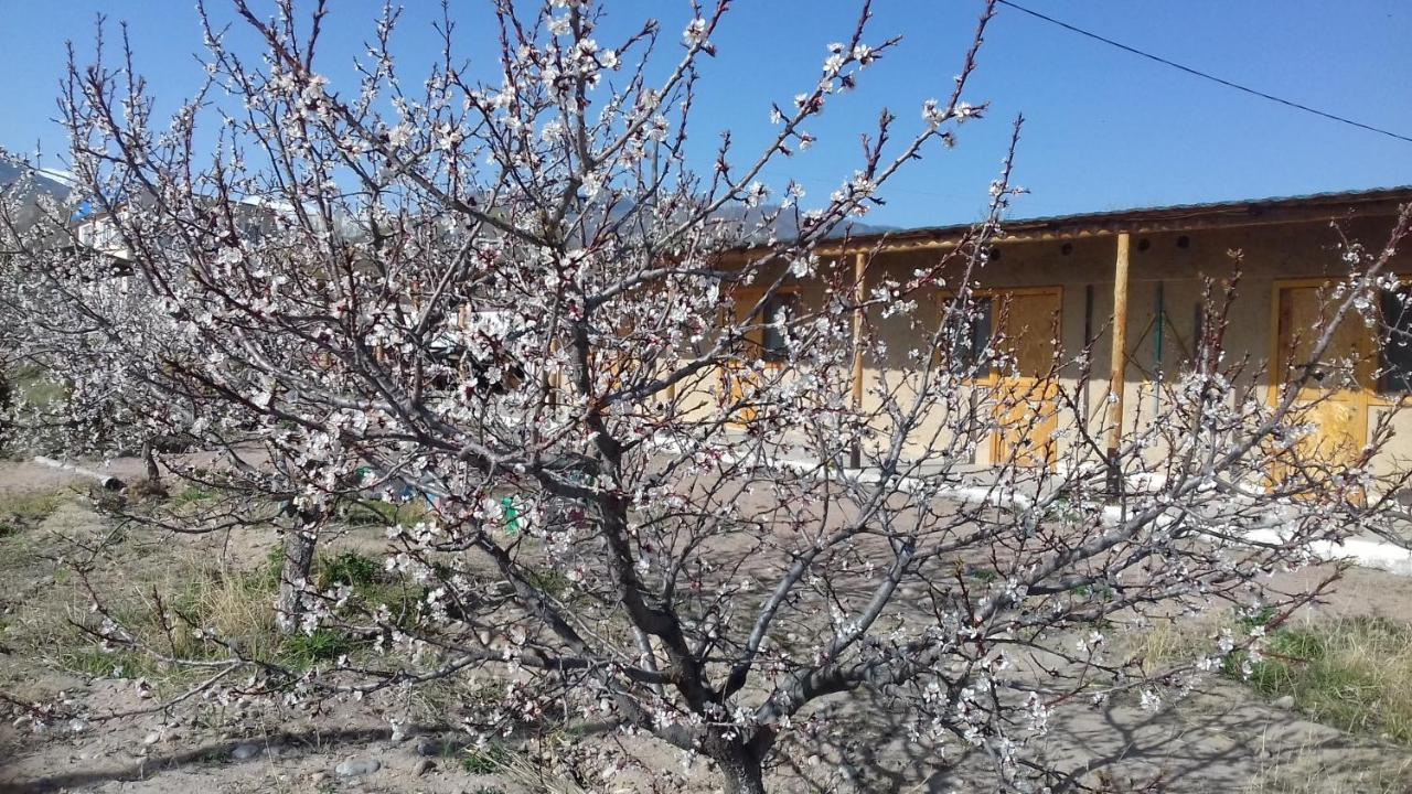 Eldos-Ata Eco Hotel Tossor Luaran gambar